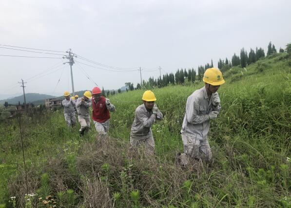 湖南宁远供电公司：检修配电线路 服务民生用电