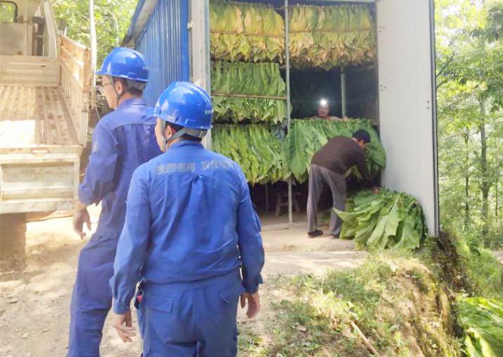 陕西地电西乡供电分公司烤烟户郭某的惊喜