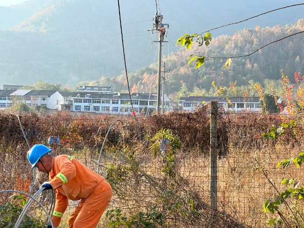 国网三门县供电公司路通电通 促高山古村产业旺