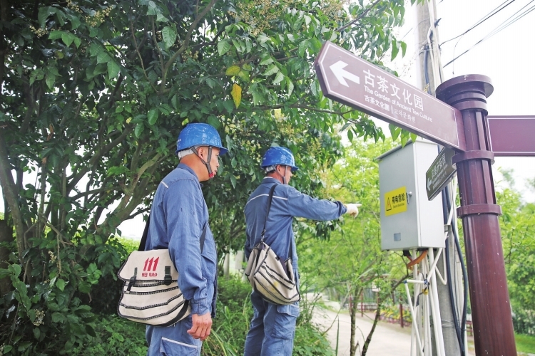 广西南宁供电局：春茶生产“电力足”