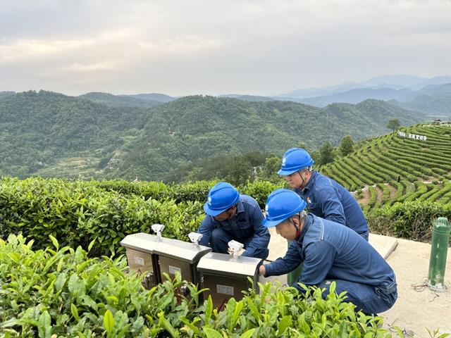 国网平利县供电公司用心电靓“国际茶日”倾情赋能女娲故里