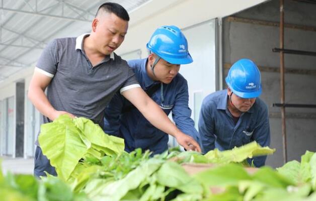 贵州印江供电局：优质电力服务 助力烤烟生产