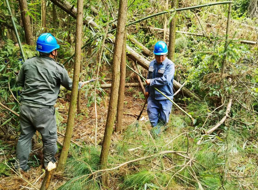 南方电网荔波供电局线路忧患如“猛兽”，通道清通要争先