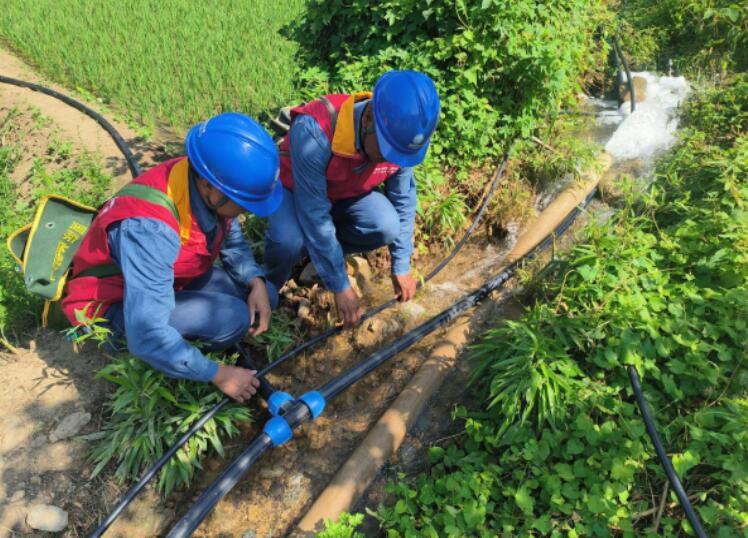 国网略阳县供电公司电力服务为稻田灌溉添动力