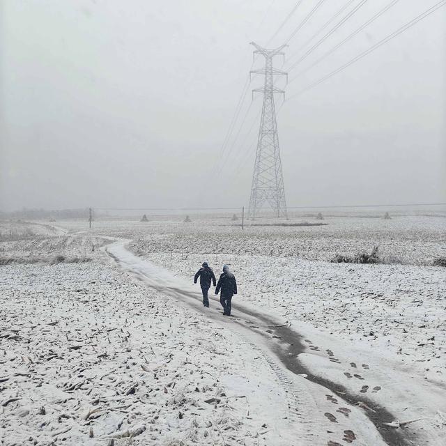 国网辽宁电力公司全力应对辽宁首轮雨雪天气