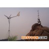 【厂商直销】500W风力发电机 风力发电机 电机