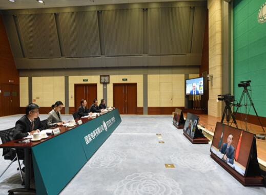 辛保安出席第二届全球可再生能源部长级会议并发言