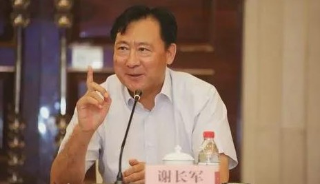 原国电集团副总经理谢长军被开除党籍