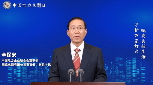 辛保安出席2022年中国电力主题日活动并致辞