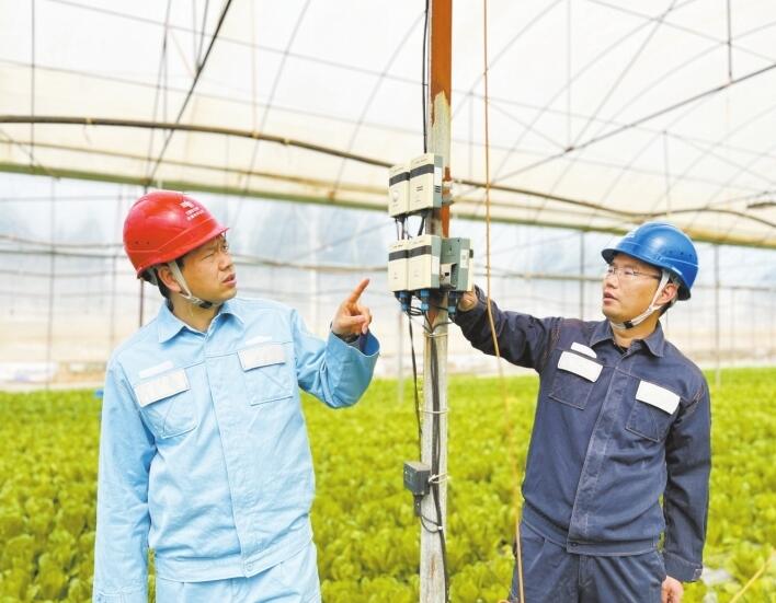 云南昆明供电局电力引擎为订单式农业添“新绿”