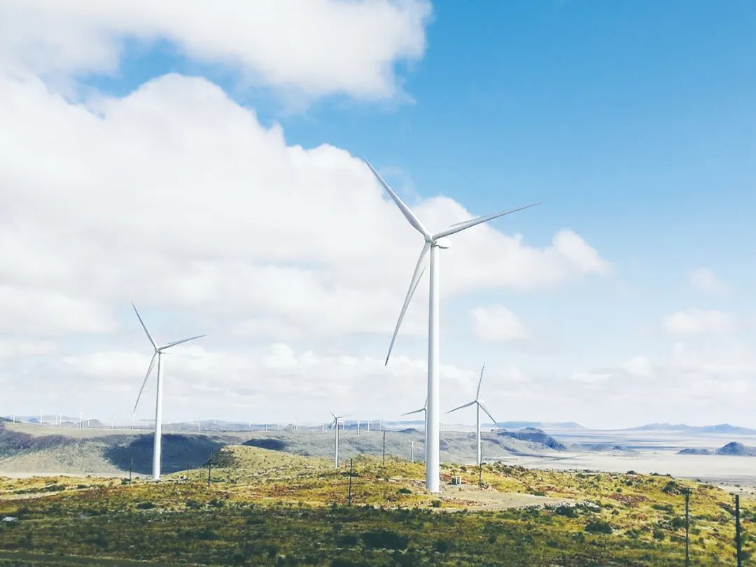 国家能源集团联合动力：十年，在南非树牢中国风机品牌